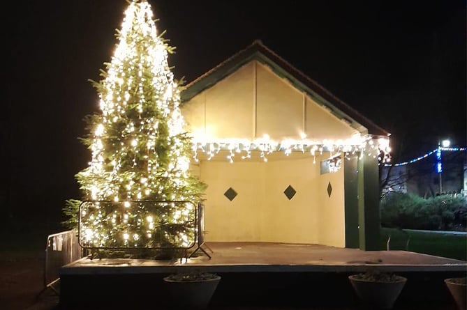 Christmas tree in Dawlish 