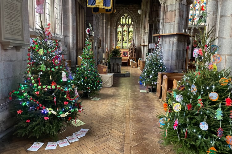Some of the trees at Crediton Parish Church Christmas Tree Festival. AQ 1525