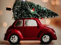 Where to recycle your Christmas tree near Crediton 