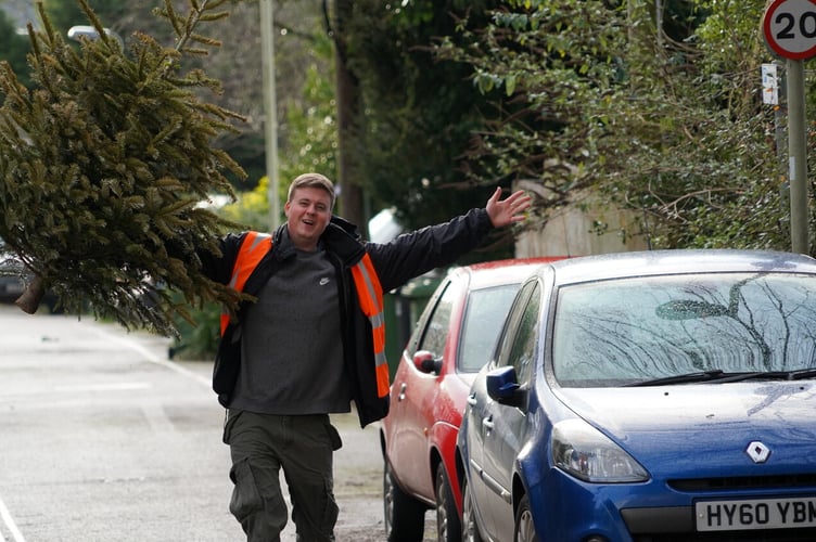 One of the volunteer tree collectors.