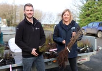 Native trees to be planted to improve Devon’s natural water quality
