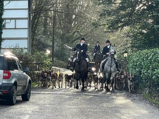 Law must go further, say Devon hunt sabs