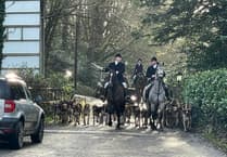 Devon hunt saboteurs welcome trail hunting ban plan but say law must go further