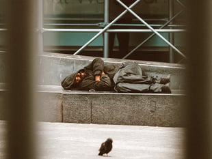 Rising numbers seeking homelessness advice in Mid Devon
