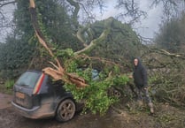 Storm Henk: Lucky escape for motorist near Crediton
