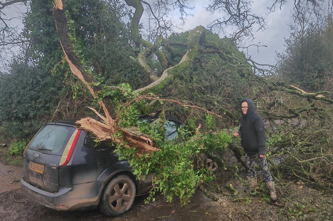 The oak tree branch on top of the car and the motorist pictured near Yeoford, Crediton.
