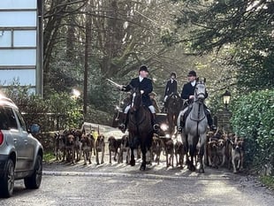 Animal welfare charity slams hunt’s ‘brutality’