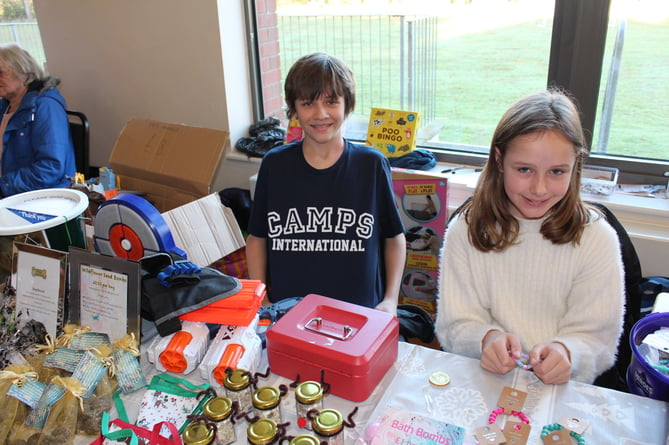 Harry Quinnell (14) raising funds for his trip to Kenya with Camps International, his cousin Ava from Whitestone was helping.  SR 9298

