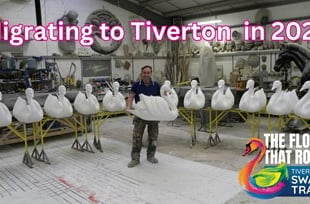 Migrating to Tiverton, 'The Flock That Rock - Tiverton Swan Trail'
