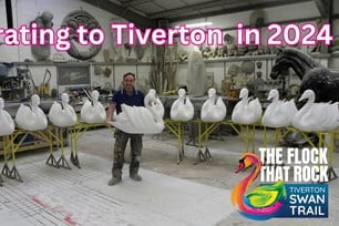 The swans which will be feature in the Tiverton Swan Trail.
