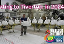 Migrating to Tiverton, 'The Flock That Rock - Tiverton Swan Trail'

