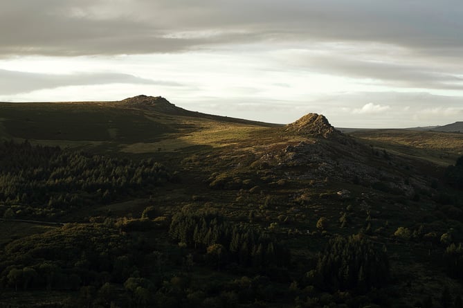 Dartmoor landscape.