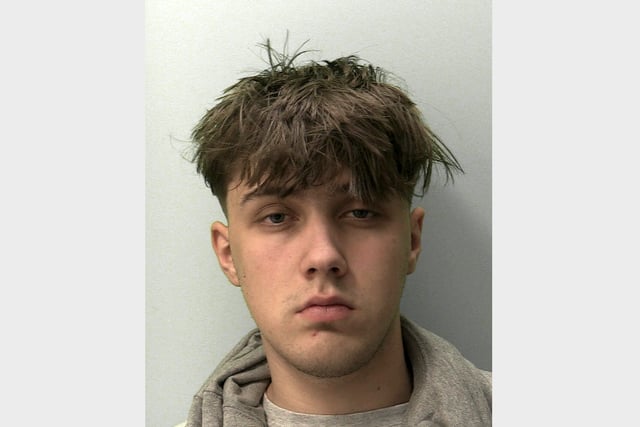 Driver who mowed down mother outside primary school jailed
