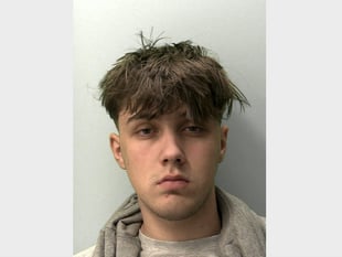 Driver who mowed down mother outside primary school jailed
