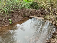 Devon farm fined after slurry polluted a stream for two months plus

