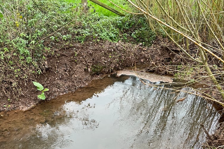 Sewage fungus in the stream.