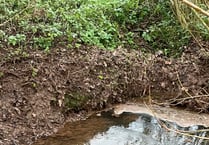 Devon farm fined after slurry polluted a stream for two months plus
