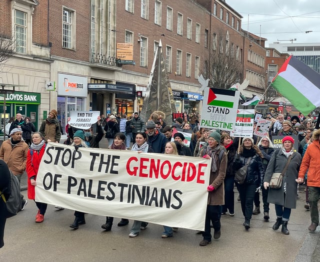 Reader’s Letter: Sandford man writes to MP over Gaza situation
