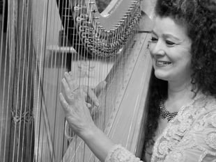 Two big free music concerts at Crediton Library
