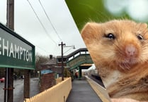 Network Rail to create new haven for dormice
