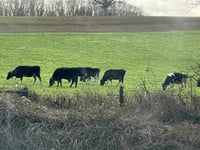 Local farm businesses urged to apply for grant funding 