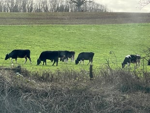 Local farm businesses urged to apply for grant funding 