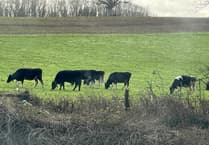 Local farm businesses urged to apply for grant funding