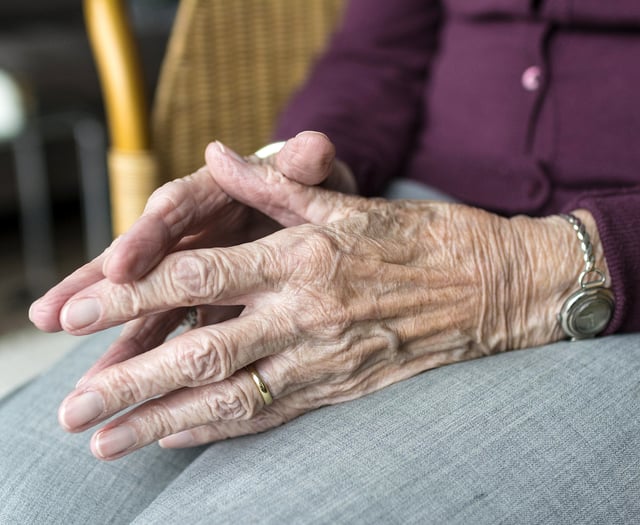 Have you thought about using a private carer?

