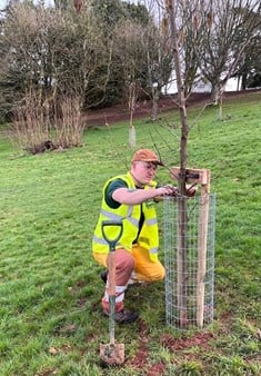A member of Mid Devon District Council's staff planting a tree at People’s Park, Tiverton.
