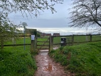 Crediton to commemorate 80 years since D-Day 