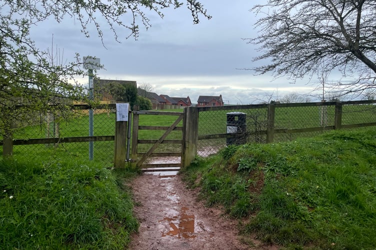 The entrance to Beacon Park in Crediton where new trees have been planted.  AQ 6876