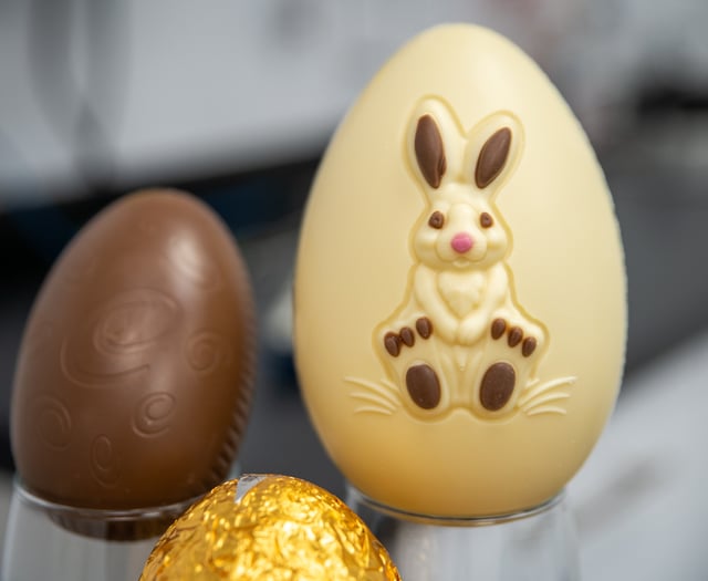 Crediton vets tips to help keep pets safe from Easter toxic treats
