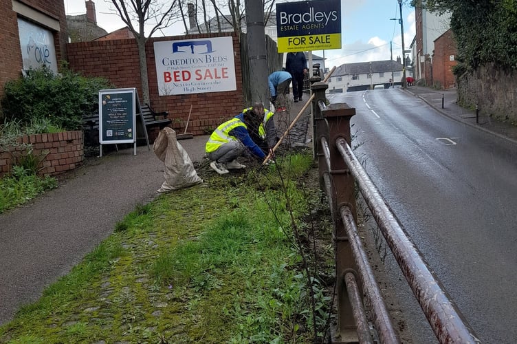Starting the weed clearance project.
