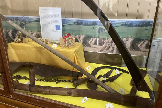 Corn dollies and countryman’s favours are explained in the exhibition.  AQ 9390