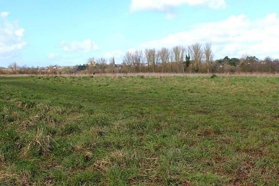Bromham’s Farm Field.