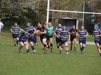 Crediton RFC turns its attention to the County Intermediate Cup
