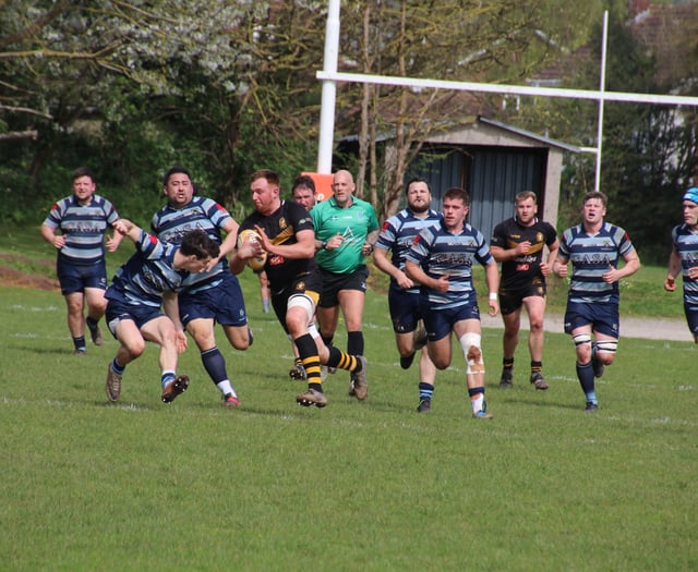 Crediton RFC turns its attention to the County Intermediate Cup
