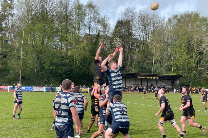 Stretching for the ball during a line out in the Crediton v Topsham game.  AQ 0154
