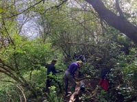Artists, Academics and Environmentalists shared a work day 
