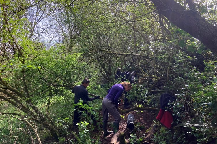 Volunteers working in the ‘Creativity Acre’.