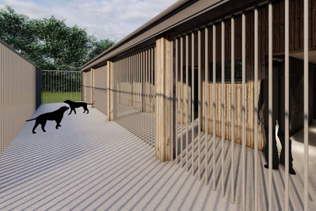 Green light for dog sanctuary plans