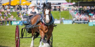 Devon County Show to feature BSL for first time