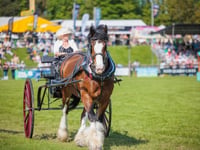 Devon County Show to feature BSL for first time