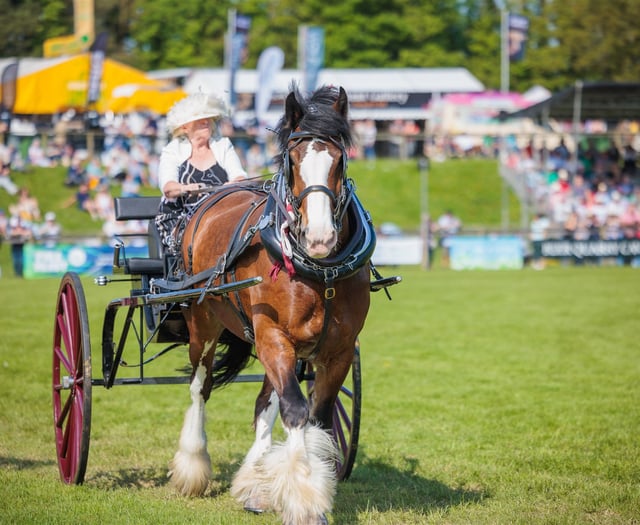 Devon County Show to feature BSL for first time
