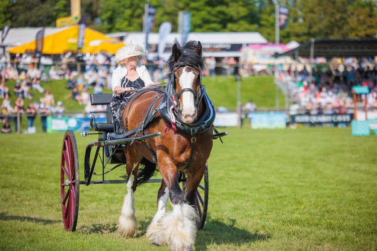 The heavy horse demonstration will be signed
