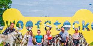 Dog-friendly music festival set to return to Powderham Castle 