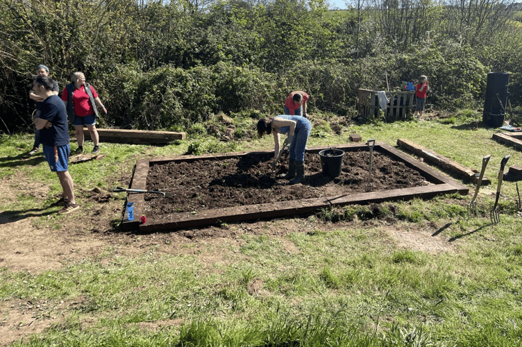 Clearing vegetable beds