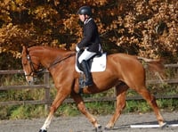 Para-equestrian rider to perform at Devon County Show 