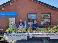 Sun shone on Crediton Garden Club plant sale
