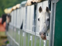 'My Devon' photos wanted for new county show calendar